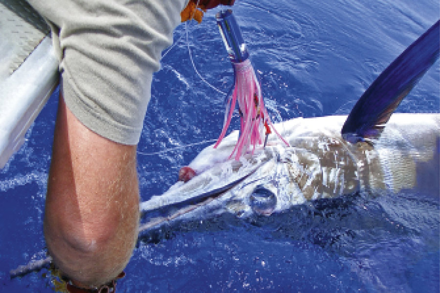 The Classic Striped Marlin Lure Spread - The Fishing Website
