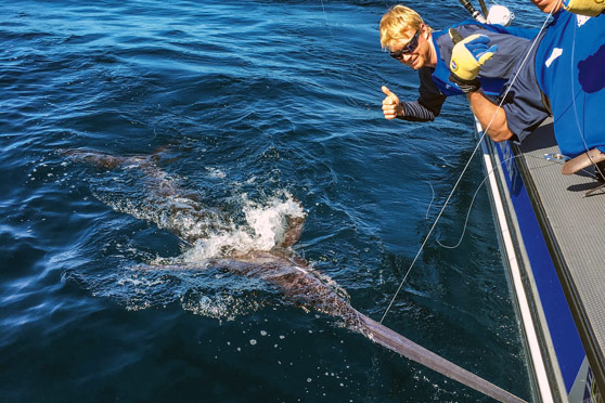 Broadbill swordfishing with Matt Watson