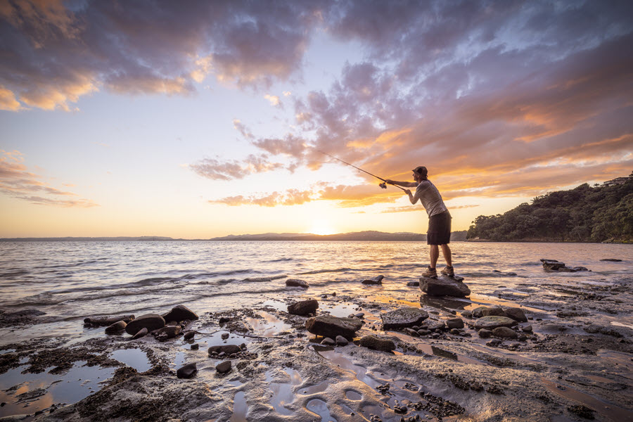 Kingfish in the Manukau Harbour The Fishing site