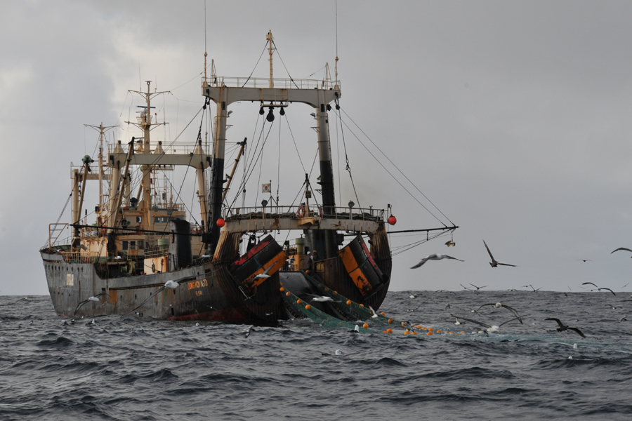 Amazing Shane Jones Reminds National, Act Of Fisheries Bill Commitment Image for Desktop Amazing Shane Jones Reminds National, Act Of Fisheries Bill Commitment Image for Desktop