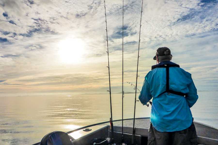 Winter Snapper Basics