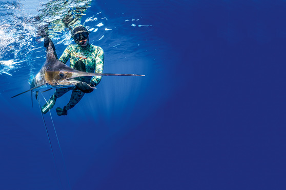 Spearfishing for beginners