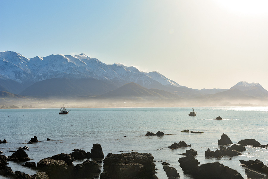 Kaikoura A Canyon of Opportunity The Fishing site