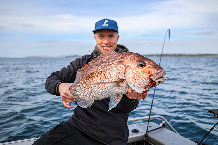 Softbait Setups 20212022 season The Fishing site