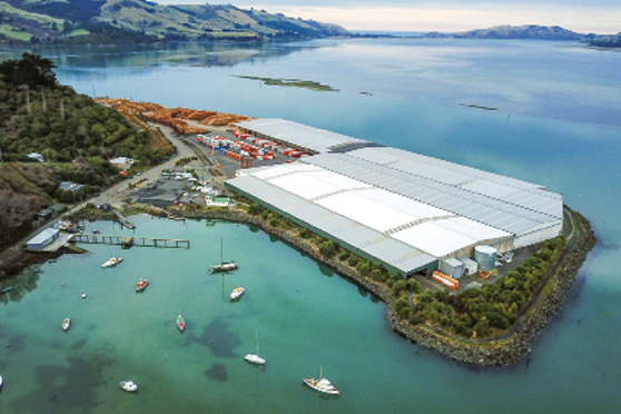 Back Beach Boat Ramp (Port Chalmers) Review.