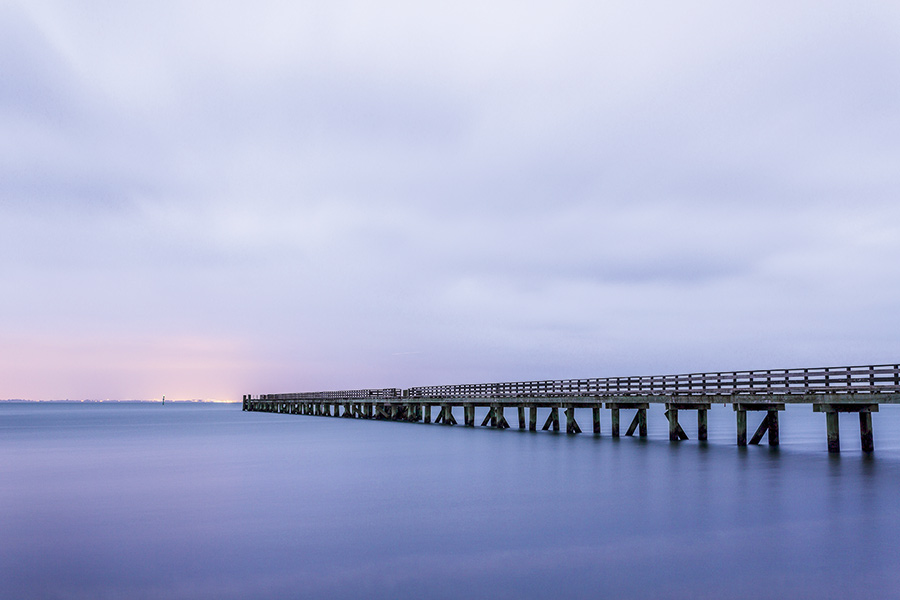 Fishing the Manukau Inside and Out The Fishing site