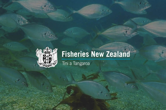 What does MPI do with confiscated seafood
