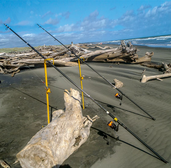 Changes in fishing