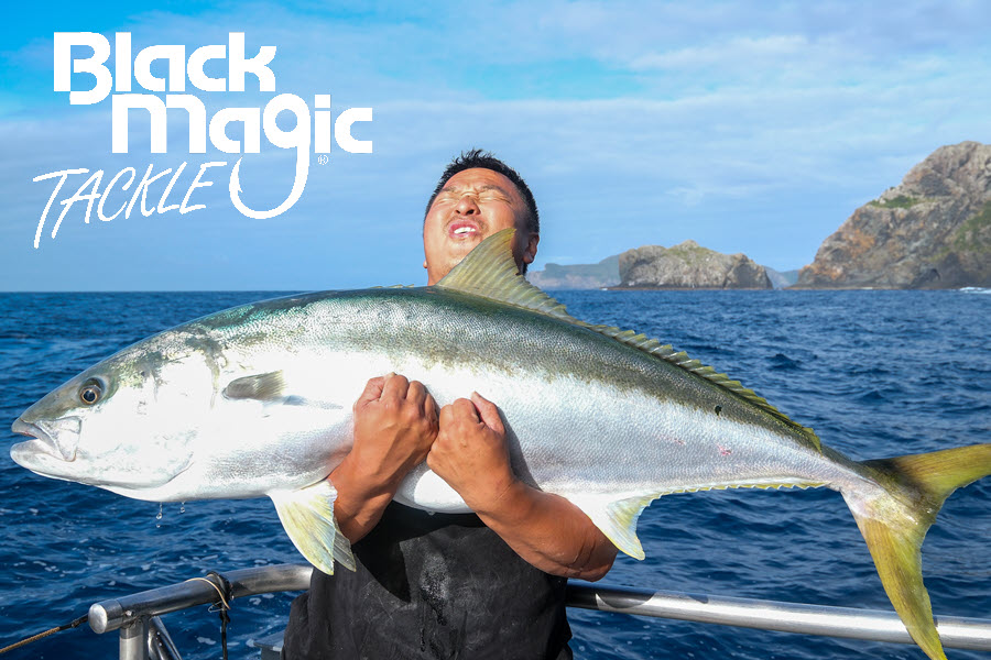Kingfish