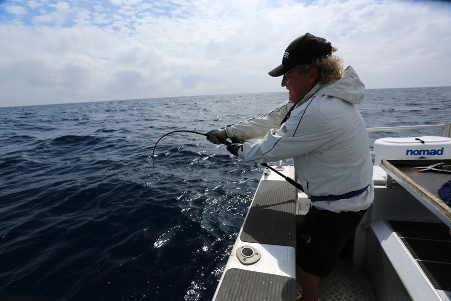 Koheru - catching and using it for bait!