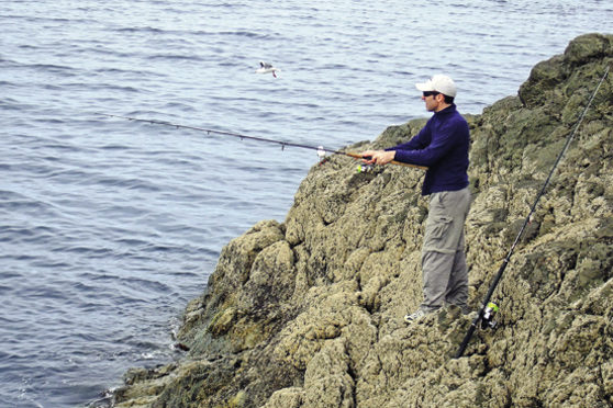 Surfcasting - techniques for using small baits