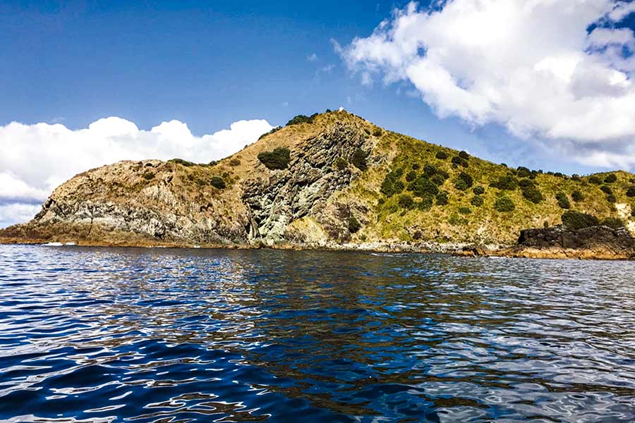 Catching Kingfish at North Cape