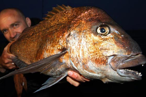 Fishing Shows this weekend