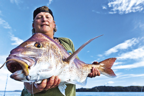 Soft Baits - a deadly colour combo