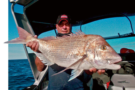 Catching big snapper on small lures - The Fishing Website