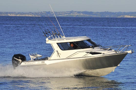 White Pointer 730 Sports