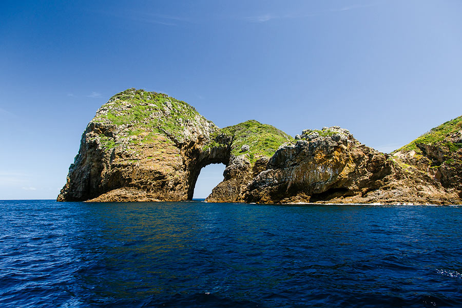 A Guide to NZ Marine Protected Areas The Fishing site