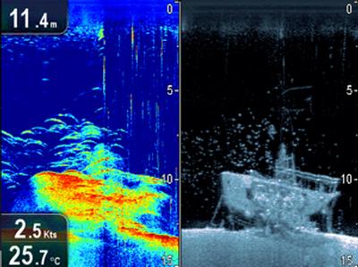Raymarine Dragonfly sonar competition