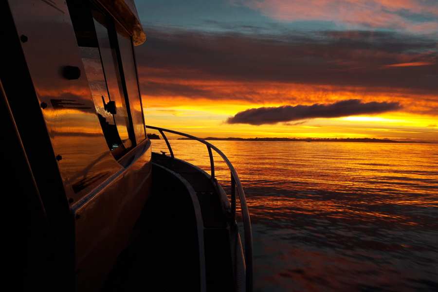 Using bite times The Fishing site