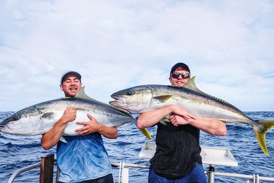 Kingfish Bag Limits Are They Too High The Fishing Website