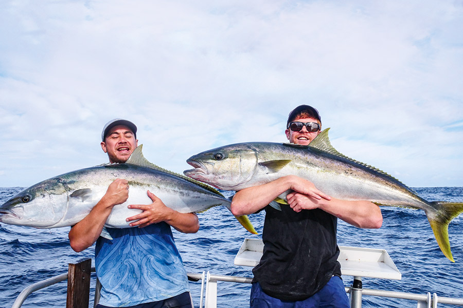 Kingfish Bag Limits Are They too High? The Fishing site