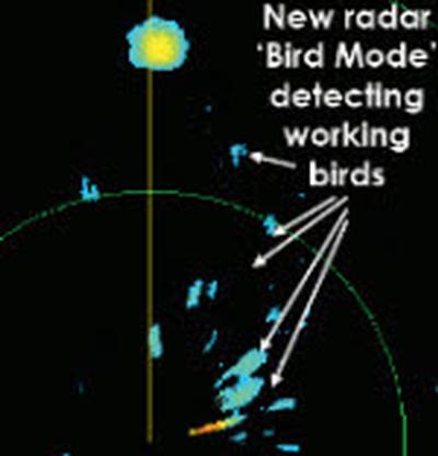 Raymarine&rsquo;s new Bird Radar