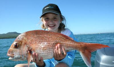 SOS - SAVE OUR SNAPPER!