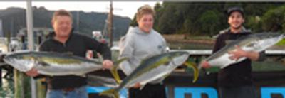 Whangaroa light tackle kingfish