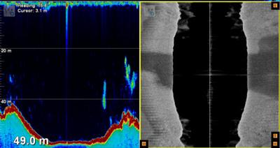 WASSP - multibeam sonars