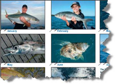 2013 Reel Action Calendar