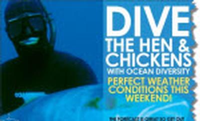 Dive the Hen and Chicks This Weekend
