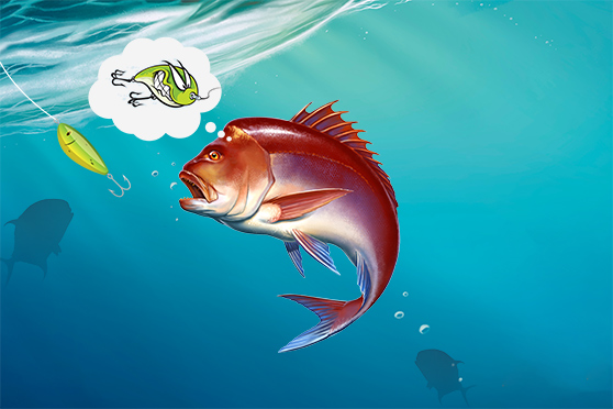 Do Fish Remember Lures?
