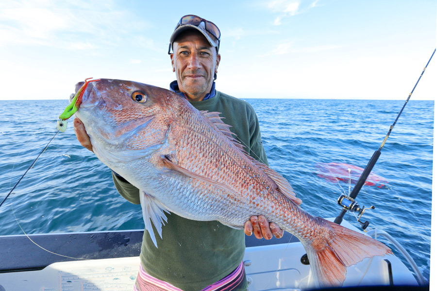 Snapper fishing using soft plastics The Fishing site