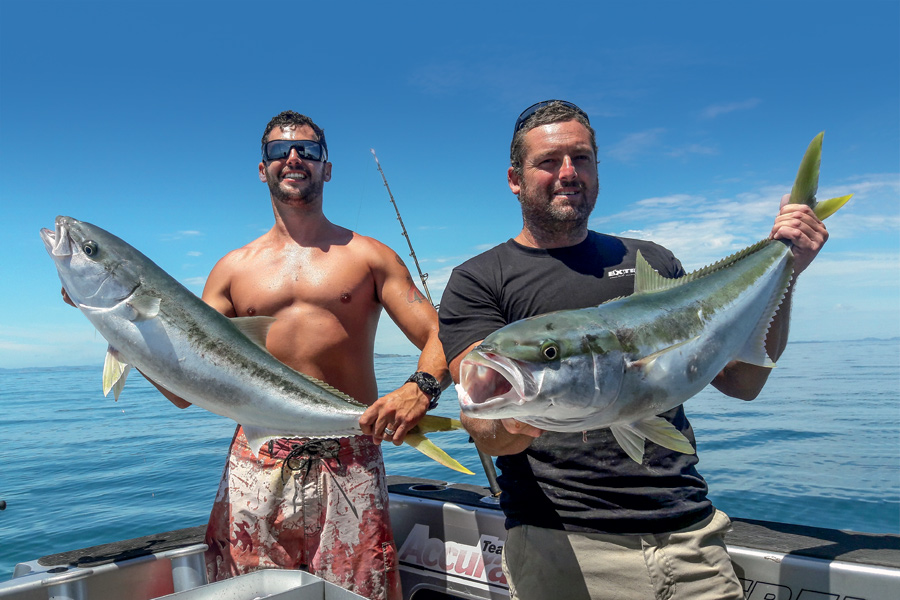 Livebaiting for kingfish part 2 The Fishing site