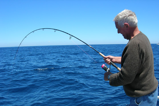 Baitfishing Tips and Tricks