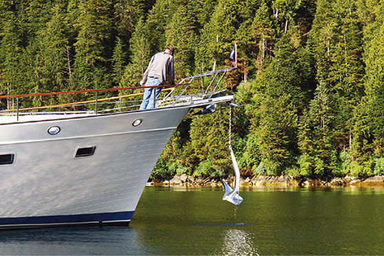 Maxwell Anchors
