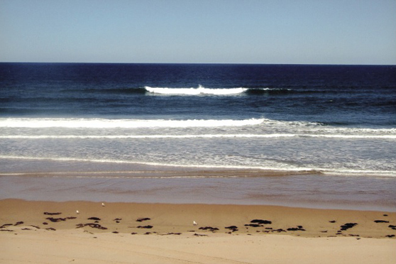 Surfcasting for big snapper