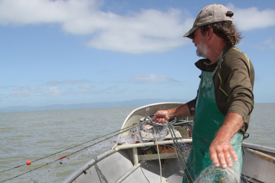 Netting flounder - Piako Pete