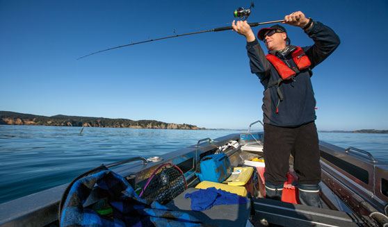 25 soft baiting tips part 2