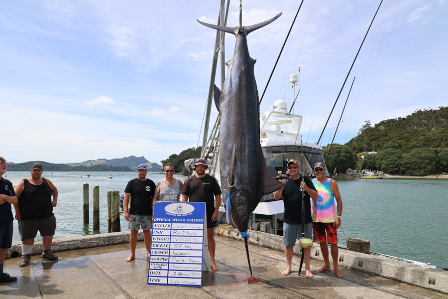 Big Blue For Kawailani