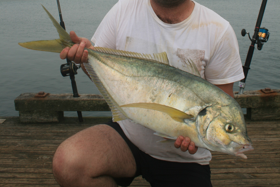 Four top baits for surfcasting