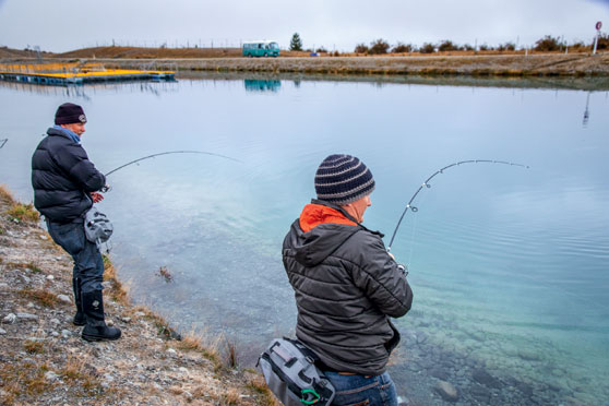 Mystery surrounds mega-trout