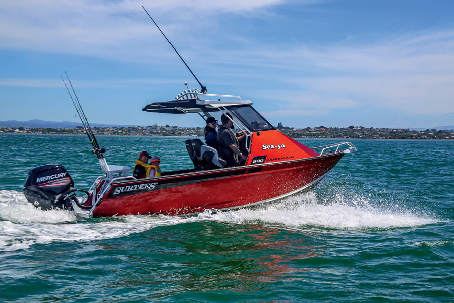 Top Tips For Buying a Family Fishing Boat The Fishing site