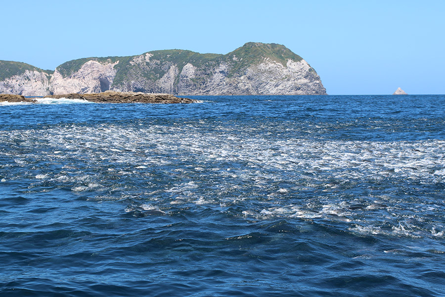 Contentious Hauraki Gulf Protections Passed