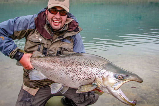 Mega trout- ask the experts