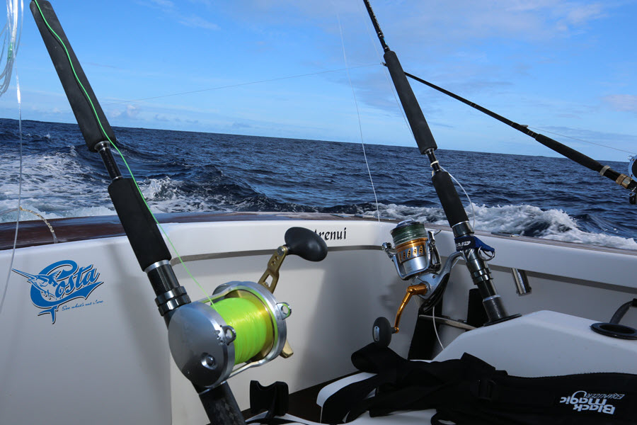 IGFA Honours Announced