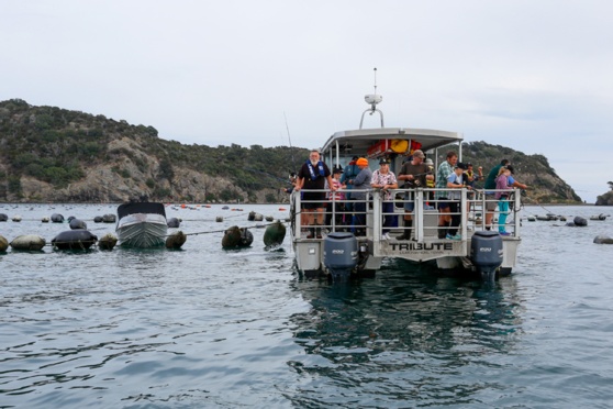 Can Aquaculture Boost Wild Fish Populations? - The Fishing Website - Vimarsana News