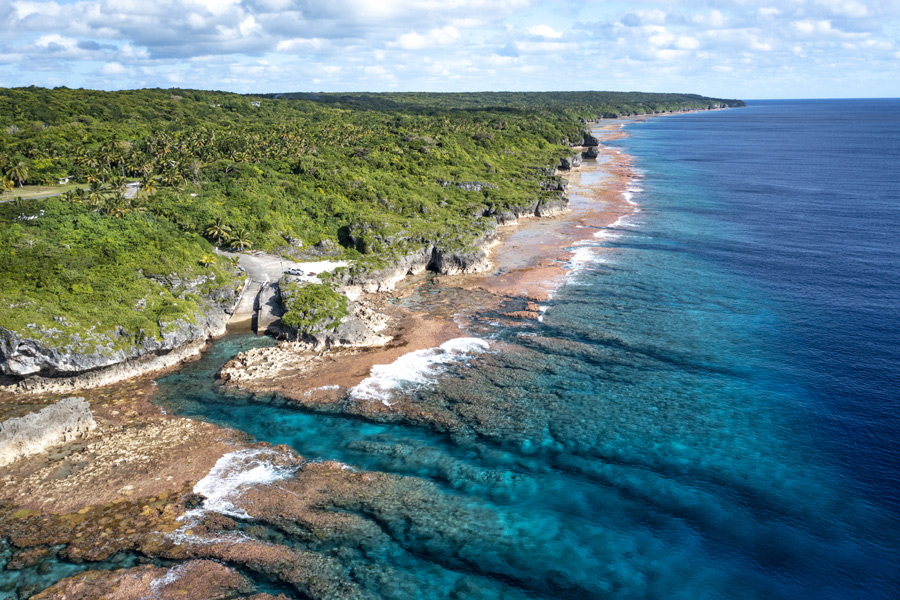 Night Predators in Niue
