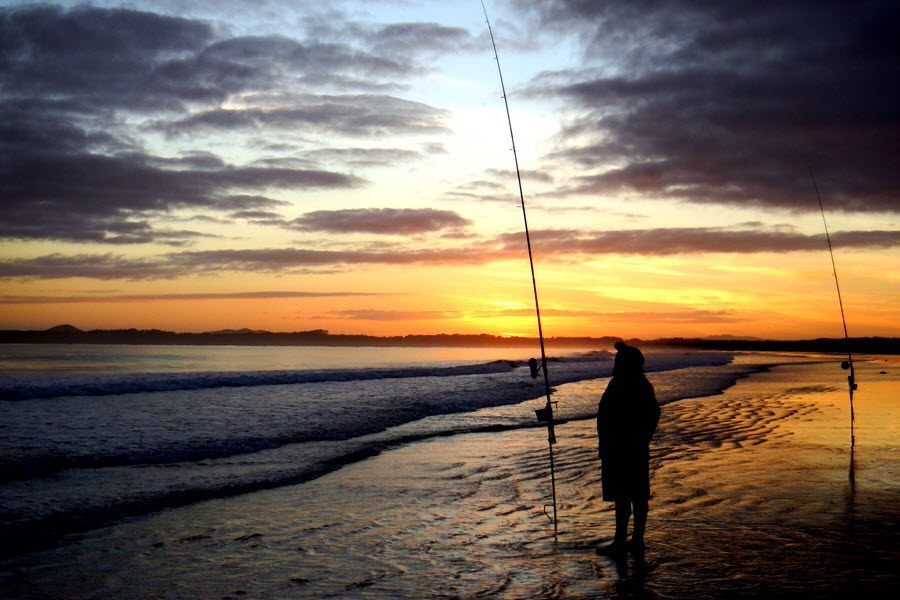 Servicing Surf Reels The Fishing site