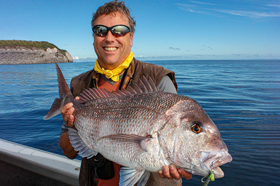 Animal Imitation Soft-Baits